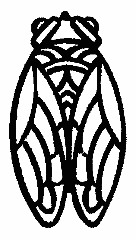 Pszczoły kolorowanki